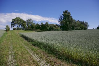 Hochbeh�lter Dorfhain