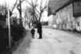 ocalt05t.jpg (1651 Byte)