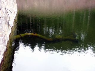 alte Noteinspeisung Wasserwerk