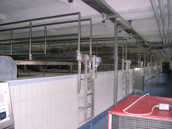 06220105.jpg (15936 Byte)